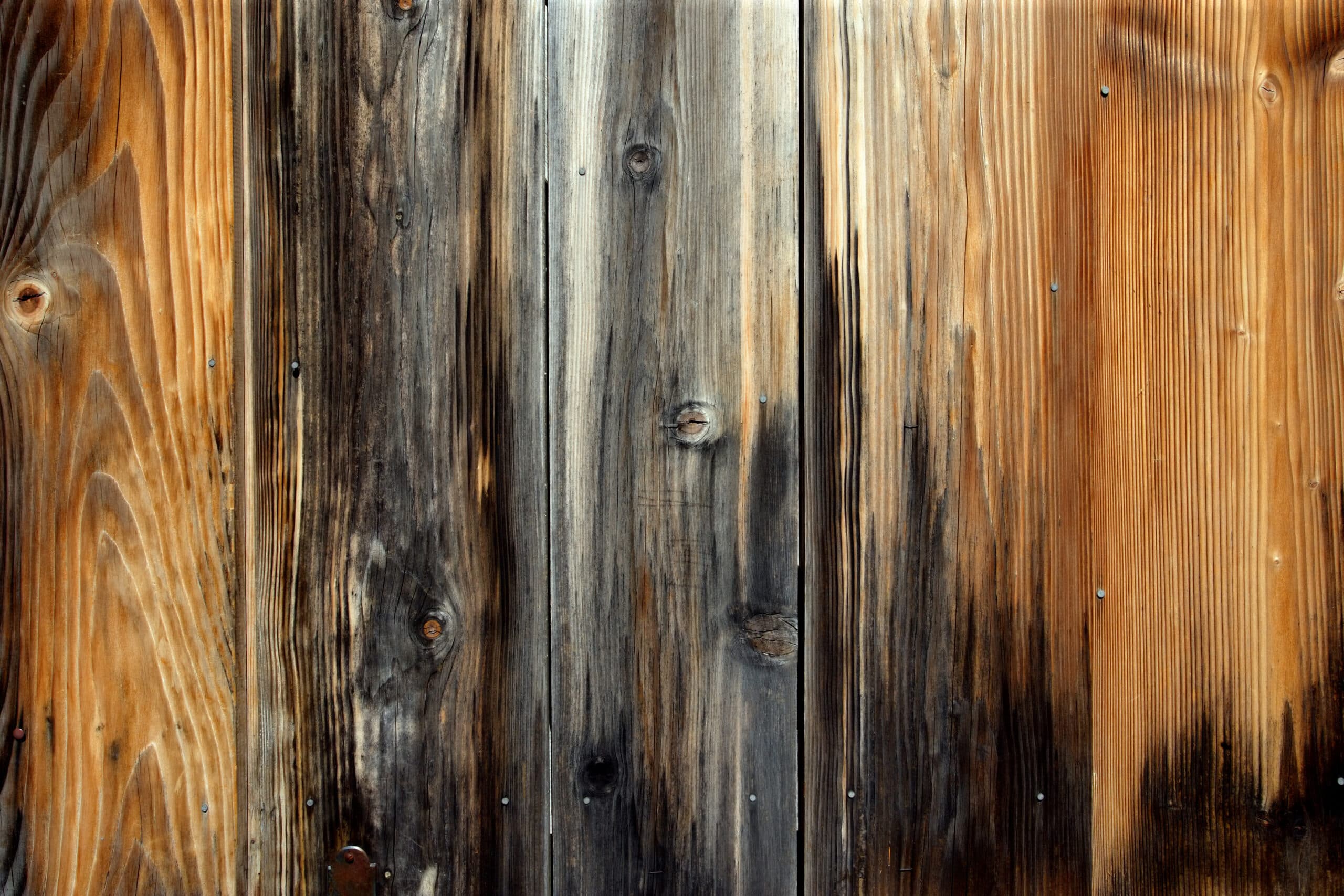 wood rot Lincoln MA