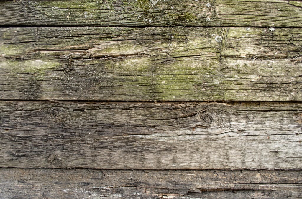 Wood background texture. Old wooden fence background. Wood Rot