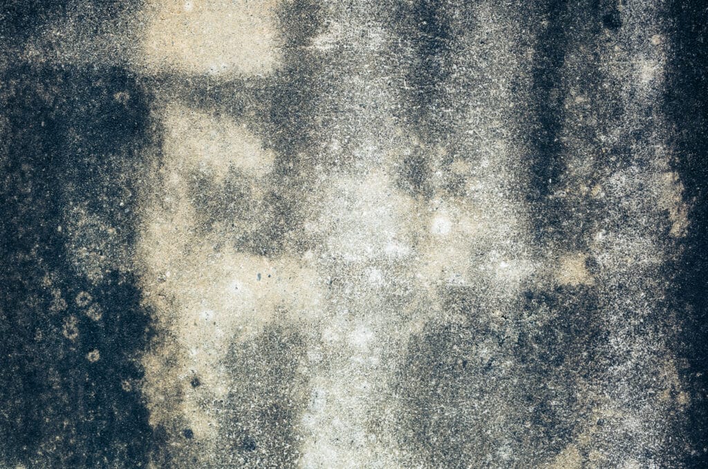 mildewed wall background, grunge texture of dirty cement wall. Mold on Concrete