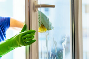 Important Distinctions Between DIY Window Cleaning And Professional Window Cleaning