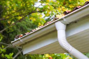 What Happens If You Don’t Clean Your Gutters?