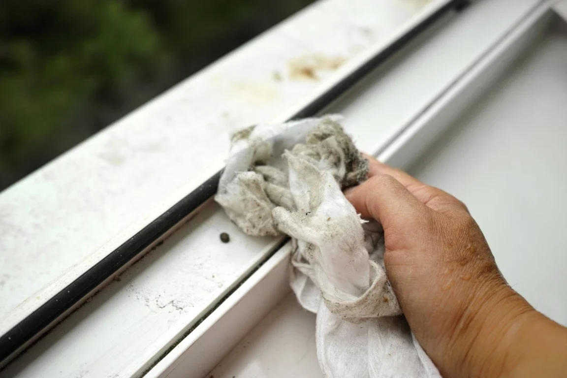 Pollen Season - Boston, MA