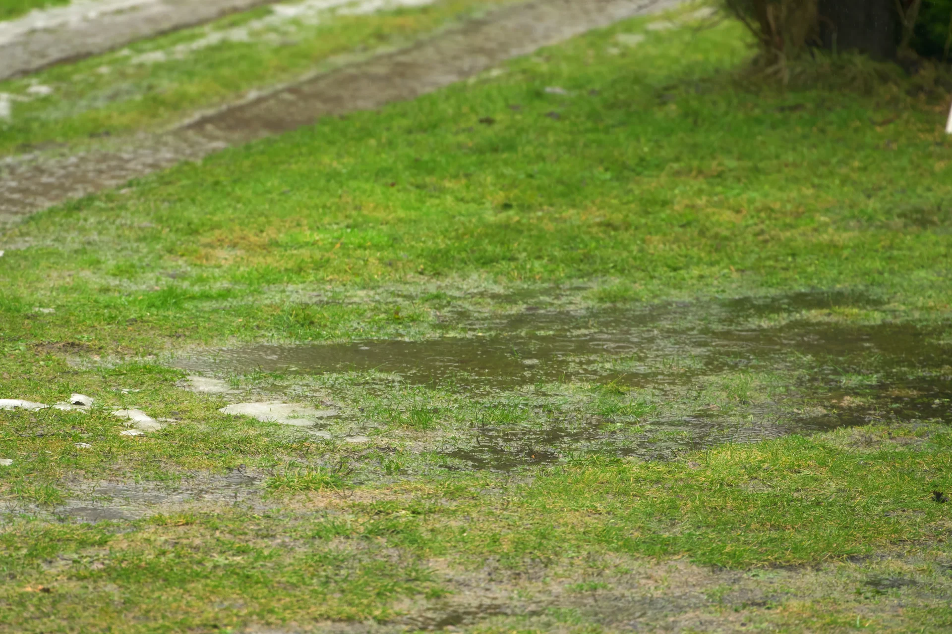 Mud Season - Boston, MA 
